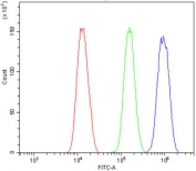 Flow cytometry testing of human SiHa cells with MBD4 antibody at 1ug/million cells (blocked with goat sera); Red=cells alone, Green=isotype control, Blue= MBD4 antibody.