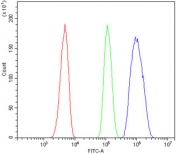 Flow cytometry testing of human HL60 cells with MED4 antibody at 1ug/million cells (blocked with goat sera); Red=cells alone, Green=isotype control, Blue= MED4 antibody.