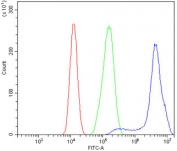 Flow cytometry testing of human Caco-2 cells with PRDM5 antibody at 1ug/million cells (blocked with goat sera); Red=cells alone, Green=isotype control, Blue= PRDM5 antibody.