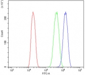 Flow cytometry testing of human A431 cells with USP44 antibody at 1ug/million cells (blocked with goat sera); Red=cells alone, Green=isotype control, Blue= USP44 antibody.