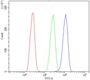 Flow cytometry testing of fixed and permeabilized human A431 cells with VPS4A antibody at 1ug/million cells (blocked with goat sera); Red=cells alone, Green=isotype control, Blue= VPS4A antibody.