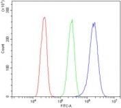 Flow cytometry testing of human A431 cells with VPS4B antibody at 1ug/million cells (blocked with goat sera); Red=cells alone, Green=isotype control, Blue= VPS4B antibody.