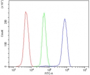 Flow cytometry testing of human U937 cells with ANGPT2 antibody at 1ug/million cells (blocked with goat sera); Red=cells alone, Green=isotype control, Blue= ANGPT2 antibody.Flow cytometry testing of human U937 cells with ANGPT2 antibody at 1ug/million cells (blocked with goat sera); Red=cells alone, Green=isotype control, Blue= ANGPT2 antibody.
