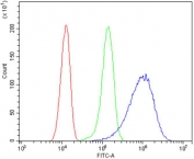 Flow cytometry testing of human HeLa cells with ANGPT2 antibody at 1ug/million cells (blocked with goat sera); Red=cells alone, Green=isotype control, Blue= ANGPT2 antibody.