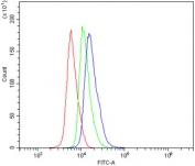 Fas Antibody Spleen FACS. Flow cytometry testing of mouse spleen cells with Fas antibody at 1ug/million cells (blocked with goat sera); Red=cells alone, Green=isotype control, Blue= Fas antibody.
