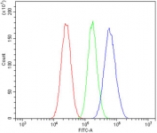 Flow cytometry testing of human HepG2 cells with MASP2 antibody at 1ug/million cells (blocked with goat sera); Red=cells alone, Green=isotype control, Blue= MASP2 antibody.