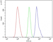 Flow cytometry testing of human U-87 MG cells with SLBP/Stem-Loop Binding Protein antibody at 1ug/million cells (blocked with goat sera); Red=cells alone, Green=isotype control, Blue= SLBP antibody.