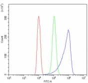 Flow cytometry testing of human ThP1 cells with HYI antibody at 1ug/million cells (blocked with goat sera); Red=cells alone, Green=isotype control, Blue= HYI antibody.