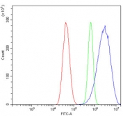 Flow cytometry testing of human U-87 MG cells with GNG2 antibody at 1ug/million cells (blocked with goat sera); Red=cells alone, Green=isotype control, Blue= GNG2 antibody.