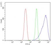 Flow cytometry testing of mouse HEPA1-6 cells with GNG2 antibody at 1ug/million cells (blocked with goat sera); Red=cells alone, Green=isotype control, Blue= GNG2 antibody.