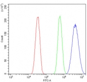 Flow cytometry testing of mouse HEPA1-6 cells with LSM5 antibody at 1ug/million cells (blocked with goat sera); Red=cells alone, Green=isotype control, Blue= LSM5 antibody.