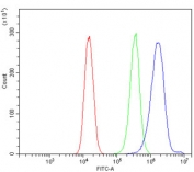 Flow cytometry testing of human 293T cells with NDUFB2 antibody at 1ug/million cells (blocked with goat sera); Red=cells alone, Green=isotype control, Blue= NDUFB2 antibody.
