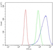Flow cytometry testing of human A431 cells with NDUFB5 antibody at 1ug/million cells (blocked with goat sera); Red=cells alone, Green=isotype control, Blue= NDUFB5 antibody.