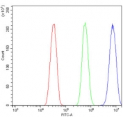 Flow cytometry testing of mouse HEPA1-6 cells with Par4 antibody at 1ug/million cells (blocked with goat sera); Red=cells alone, Green=isotype control, Blue= Par4 antibody.