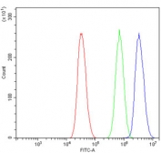 Flow cytometry testing of human A431 cells with RBM47 antibody at 1ug/million cells (blocked with goat sera); Red=cells alone, Green=isotype control, Blue= RBM47 antibody.