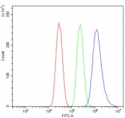 Flow cytometry testing of human HEPA1-6 cells with SUMO1 antibody at 1ug/million cells (blocked with goat sera); Red=cells alone, Green=isotype control, Blue= SUMO1 antibody.
