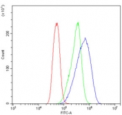 Flow cytometry testing of human Caco-2 cells with ETF1 antibody at 1ug/million cells (blocked with goat sera); Red=cells alone, Green=isotype control, Blue= ETF1 antibody.
