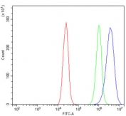 Claudin 7 Antibody Caco-2 Cell FACS. Flow cytometry testing of human Caco-2 cells with Claudin 7 antibody at 1ug/million cells (blocked with goat sera); Red=cells alone, Green=isotype control, Blue= Claudin 7 antibody.