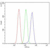 PSEN2 Antibody U-87 MG FACS. Flow cytometry testing of human U-87 MG cells with PSEN2 antibody at 1ug/million cells (blocked with goat sera); Red=cells alone, Green=isotype control, Blue= PSEN2 antibody.