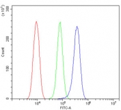 PSEN2 Antibody Rat RH35 FACS. Flow cytometry testing of rat RH35 cells with PSEN2 antibody at 1ug/million cells (blocked with goat sera); Red=cells alone, Green=isotype control, Blue= PSEN2 antibody.