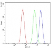 HCAM Antibody Human Sample FACS. Flow cytometry testing of human U-87 MG cells with HCAM antibody at 1ug/million cells (blocked with goat sera); Red=cells alone, Green=isotype control, Blue= HCAM antibody.