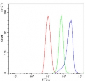 PARP1 Antibody ThP-1 FACS. Flow cytometry analysis of human ThP-1 cells using PARP1 antibody at 1 ug/million cells. Blue histogram represents PARP1 antibody staining, green represents isotype control, and red represents unstained cells alone. The rightward fluorescence shift observed with PARP1 staining is consistent with intracellular detection of this chromatin-associated repair protein involved in DNA damage signaling, genomic maintenance, and nuclear stress-response pathways in monocytic leukemia cells. Cells were blocked with goat sera prior to staining.
