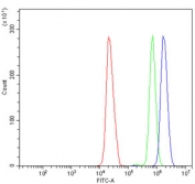 Poly (ADP-ribose) polymerase 1 Antibody FACS. Flow cytometry testing of human HL60 cells with Poly (ADP-ribose) polymerase 1 antibody at 1ug/million cells (blocked with goat sera); Red=cells alone, Green=isotype control, Blue= PARP antibody.