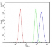 Irf3 Antibody HEPA-1 FACS. Flow cytometry testing of mouse HEPA1-6 cells with Irf3 antibody at 1ug/million cells (blocked with goat sera); Red=cells alone, Green=isotype control, Blue= Irf3 antibody.