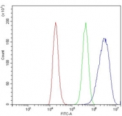 Flow cytometry testing of human 293T cells with NCAM1 antibody at 1ug/million cells (blocked with goat sera); Red=cells alone, Green=isotype control, Blue= NCAM1 antibody.