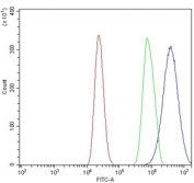 Flow cytometry testing of mouse RAW264.7 cells with Aigp1 antibody at 1ug/million cells (blocked with goat sera); Red=cells alone, Green=isotype control, Blue= Aigp1 antibody.