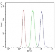 Flow cytometry testing of human U937 cells with CXCR4 antibody at 1ug/million cells (blocked with goat sera); Red=cells alone, Green=isotype control, Blue= CXCR4 antibody.