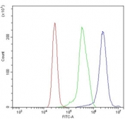 Indoleamine 2,3-Dioxygenase 2 Antibody K562 Cell FACS. Flow cytometry analysis of human K562 cells using Indoleamine 2,3-Dioxygenase 2 Antibody shows a clear rightward shift of the blue histogram relative to the isotype control (green) and unstained cells (red), indicating detection of IDO2 / INDOL1 expression. The intracellular signal distribution supports specific antibody binding to this tryptophan metabolism enzyme involved in immune-associated metabolic regulation.