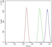 Pycard Antibody RAW264.7 Cell FACS. Flow cytometric analysis of mouse RAW264.7 cells using PYCARD Antibody / Inflammasome Adaptor Protein Antibody at 1 ug per million cells. A clear rightward shift of the antibody-stained population (blue) relative to the isotype control (green) demonstrates specific detection of endogenous PYCARD (ASC) expression. Cells alone are shown in red. Cells were blocked with goat serum prior to antibody incubation to minimize non-specific binding.
