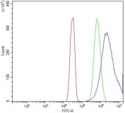 Flow cytometry testing of human SiHa cells with Astrin antibody at 1ug/million cells (blocked with goat sera); Red=cells alone, Green=isotype control, Blue= Astrin antibody.