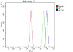 AP2A1 Antibody SH-SY5Y Cell FACS. Flow cytometry testing of fixed human SH-SY5Y neuroblastoma cells with AP2A1 Antibody at 1 ug/million cells. Cells were fixed with 4% paraformaldehyde, blocked with 10% goat serum and incubated with AP2A1 antibody, followed by DyLight 488-conjugated goat anti-rabbit IgG secondary antibody detection. Red: unstained cells; Green: isotype control; Blue: AP2A1 antibody. AP2A1 Antibody / Clathrin Adaptor Protein Antibody, validated using AP2A1 knockout cells, demonstrates increased fluorescence intensity consistent with AP2A1 expression and supports studies of clathrin-mediated endocytosis, vesicle trafficking and receptor internalization pathways.