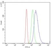 Flow cytometry testing of human HL60 cells with Meiotic recombination 11 antibody at 1ug/million cells (blocked with goat sera); Red=cells alone, Green=isotype control, Blue= Meiotic recombination 11 antibody.