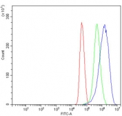 Flow cytometry testing of human U-251 MG cells with MT-ND5 antibody at 1ug/million cells (blocked with goat sera); Red=cells alone, Green=isotype control, Blue= MT-ND5 antibody.