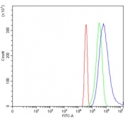 Flow cytometry testing of human HeLa cells with RPL23 antibody at 1ug/million cells (blocked with goat sera); Red=cells alone, Green=isotype control, Blue= RPL23 antibody.