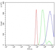 Flow cytometry testing of rat RH35 cells with RPL23 antibody at 1ug/million cells (blocked with goat sera); Red=cells alone, Green=isotype control, Blue= RPL23 antibody.