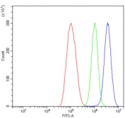 Interferon Regulatory Factor 7 Antibody Human ThP-1 Cell FACS. Flow cytometry analysis of human ThP-1 cells using IRF7 Antibody demonstrates a distinct rightward shift of the positive cell population (blue) relative to the isotype control (green) and unstained cells (red), consistent with specific detection of Interferon Regulatory Factor 7 (IRF7). IRF7 is a transcription factor that serves as a master regulator of type I interferon production and antiviral immune signaling pathways. The observed staining profile supports expression of IRF7 in ThP-1 monocytic cells and is consistent with its established role in innate immunity, inflammatory signaling, and host defense responses. Cells were stained using 1 Âµg antibody per million cells following blocking with goat serum. Red = cells alone; Green = isotype control; Blue = IRF7 antibody.
