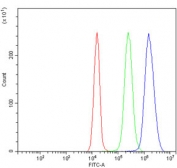 Flow cytometry testing of human JK-1 cells with Endophilin A1 antibody at 1ug/million cells (blocked with goat sera); Red=cells alone, Green=isotype control, Blue= Endophilin A1 antibody.
