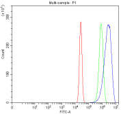 P-Cadherin Antibody A431 Cell FACS. Flow cytometry analysis of fixed and permeabilized human A431 cells using P-Cadherin Antibody / Epithelial Cell Adhesion Antibody. Cells were blocked with goat serum and incubated with the primary antibody at 1 ug/million cells. The blue histogram represents P-Cadherin staining, while green represents isotype control and red represents unstained cells. Clear positive signal separation supports the use of P-Cadherin Antibody / Epithelial Cell Adhesion Antibody for analyzing epithelial adhesion protein expression and cadherin-mediated cell communication pathways by flow cytometry.