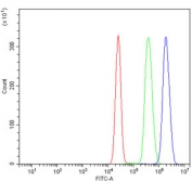 GATA1 Antibody Human K562 FACS. Flow cytometric analysis of human K562 cells using GATA1 antibody demonstrated a clear rightward shift in fluorescence intensity (blue) compared with the isotype control (green) and unstained cells (red), indicating specific detection of intracellular GATA1 expression. GATA1 is a zinc finger transcription factor that serves as a master regulator of erythropoiesis by controlling genes required for erythroid lineage commitment, hemoglobin synthesis, and red blood cell maturation. K562 cells, an erythroleukemia cell line, express GATA1 and are widely used as a model for erythroid differentiation and hematopoietic gene regulation. Cells were incubated with GATA1 antibody at 1 ug/million cells following goat serum blocking. These results support the utility of GATA1 Antibody for flow cytometric studies of hematopoiesis, erythropoiesis, hematopoietic transcriptional regulation, and leukemia research.