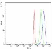 Flow cytometry testing of human U-251 cells with POLA2 antibody at 1ug/million cells (blocked with goat sera); Red=cells alone, Green=isotype control, Blue= POLA2 antibody.