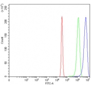 AKT1/2/3 Antibody FACS. Flow cytometry testing of human HeLa cells with AKT1/2/3 antibody at 1ug/million cells (blocked with goat sera); Red=cells alone, Green=isotype control, Blue= AKT1/2/3 antibody.