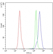 CD27 Antibody for FACS. Flow cytometry analysis of CD27 / TNFRSF7 expression in mouse peripheral blood mononuclear cells using Cross-Species CD27 Flow Cytometry Antibody. Cells stained with CD27 antibody (blue) show a clear right-shifted population compared to isotype control (green) and unstained cells (red), indicating cell surface expression of CD27 on lymphocyte populations. The distinct separation supports accurate gating and identification of CD27-positive cells and highlights its utility for PBMC-based immune profiling in flow cytometry.