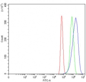 Gastrin Antibody U-87 MG FACS. Flow cytometry analysis of human U-87 MG cells stained with GAST / Gastrin Antibody demonstrates a distinct right-shifted fluorescence population relative to the isotype control, consistent with detection of Gastrin / GAST-associated peptide hormone expression in glioblastoma-derived cellular populations. This gastric peptide hormone antibody supports identification of gastrointestinal endocrine-associated signaling pathways and peptide hormone-related cellular regulation in transformed cells. Red=cells alone, Green=isotype control, Blue=GAST antibody.