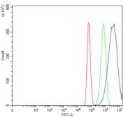 NEDD4 Antibody U-87 MG Cells FACS. Flow cytometry testing of human U-87 MG cells with NEDD4 antibody at 1ug/million cells (blocked with goat sera); Red=cells alone, Green=isotype control, Blue= NEDD4 antibody.