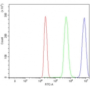ACP3 Antibody FACS. Flow cytometry testing of human HL60 cells with ACP3 antibody at 1ug/million cells (blocked with goat sera); Red=cells alone, Green=isotype control, Blue= ACP3 antibody.