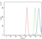 Flow cytometry testing of human Caco-2 cells with HGF-regulated tyrosine kinase substrate antibody at 1ug/million cells (blocked with goat sera); Red=cells alone, Green=isotype control, Blue= HGF-regulated tyrosine kinase substrate antibody.